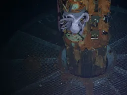 Ocean & Deep-Sea Exploration